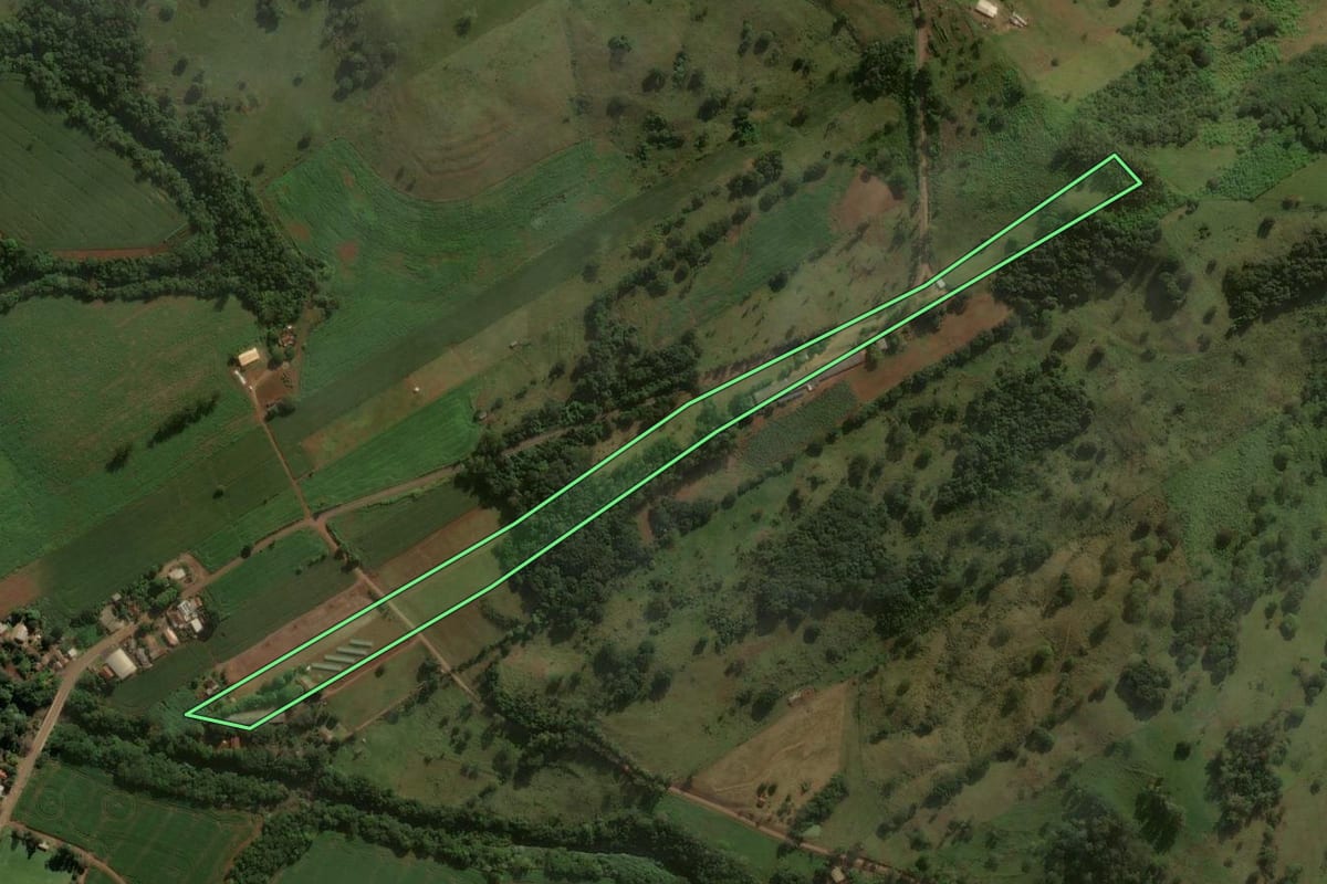 Imagem de satélite do imóvel rural em Godoy Moreira (PR), com o contorno declarado no CAR desenhado por cima.