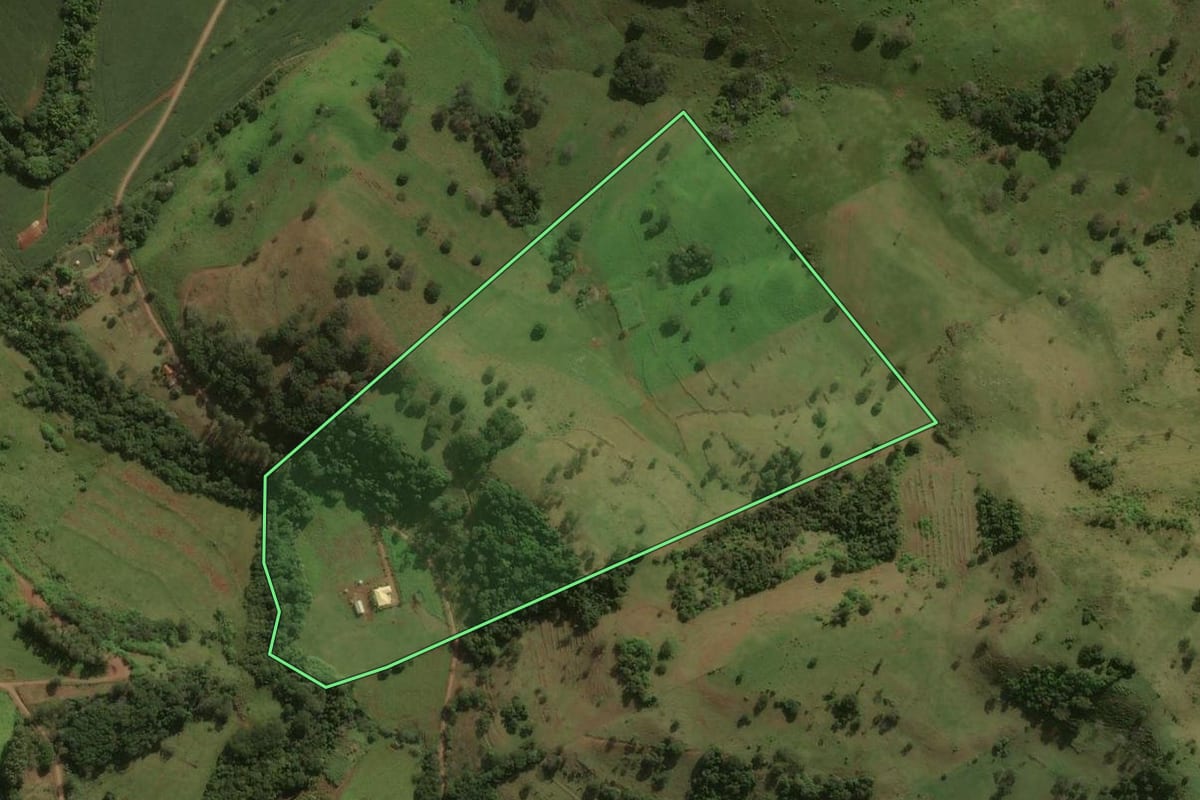 Imagem de satélite do imóvel rural em Godoy Moreira (PR), com o contorno declarado no CAR desenhado por cima.