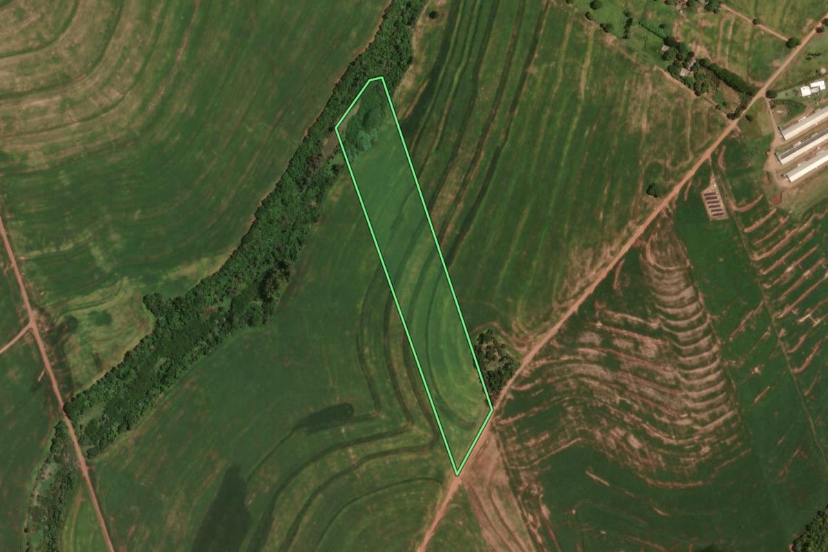 Imagem de satélite do imóvel rural em Goioerê (PR), com o contorno declarado no CAR desenhado por cima.
