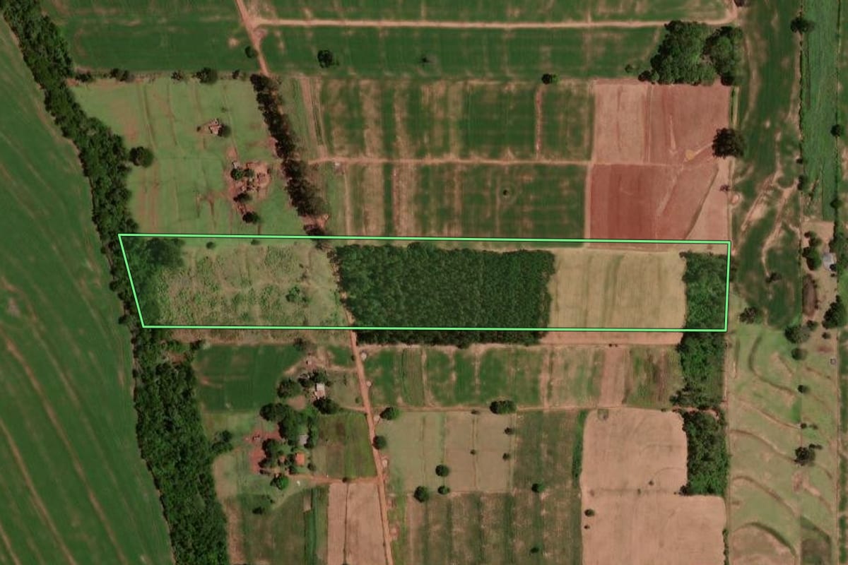 Imagem de satélite do imóvel rural em Goioerê (PR), com o contorno declarado no CAR desenhado por cima.