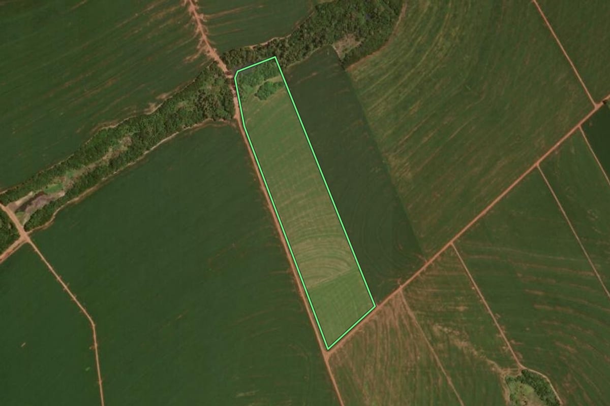 Imagem de satélite do imóvel rural em Goioerê (PR), com o contorno declarado no CAR desenhado por cima.