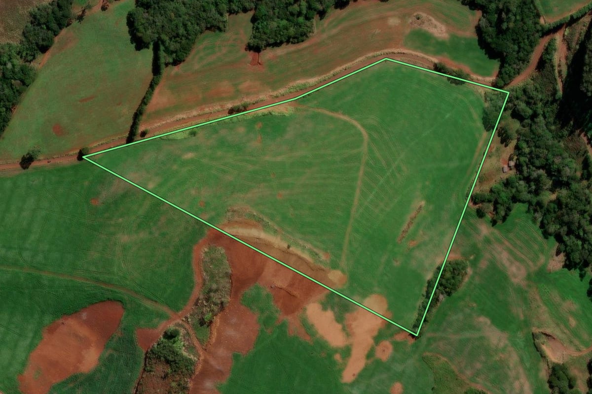Imagem de satélite do imóvel rural em Goioxim (PR), com o contorno declarado no CAR desenhado por cima.