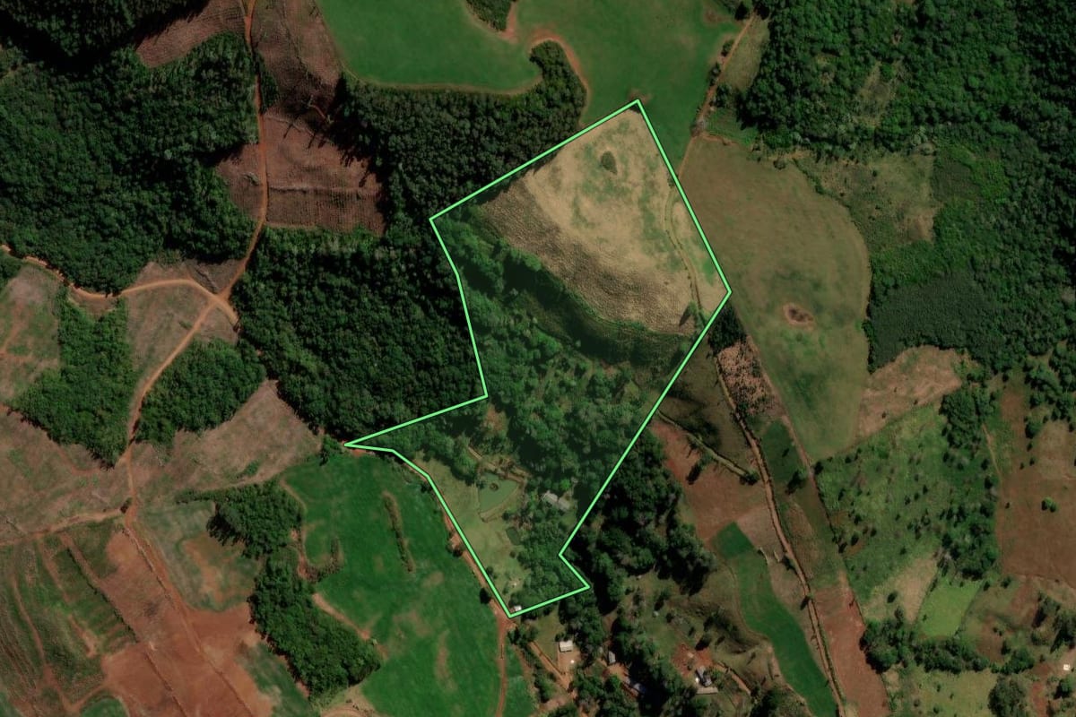 Imagem de satélite do imóvel rural em Goioxim (PR), com o contorno declarado no CAR desenhado por cima.