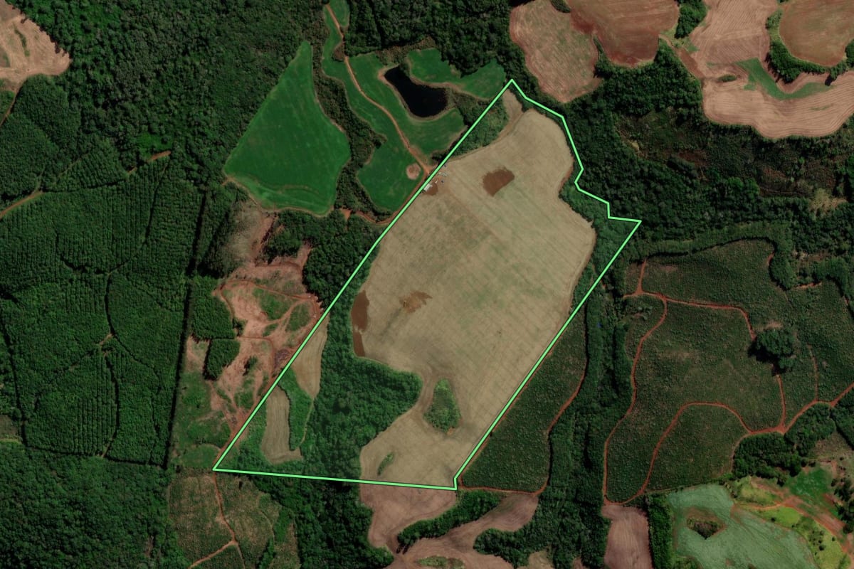Imagem de satélite do imóvel rural em Goioxim (PR), com o contorno declarado no CAR desenhado por cima.