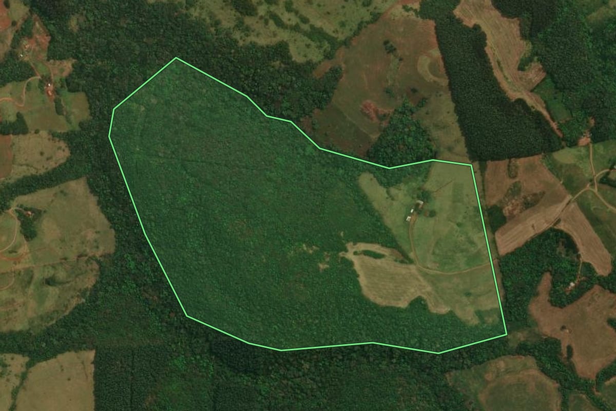 Imagem de satélite do imóvel rural em Goioxim (PR), com o contorno declarado no CAR desenhado por cima.
