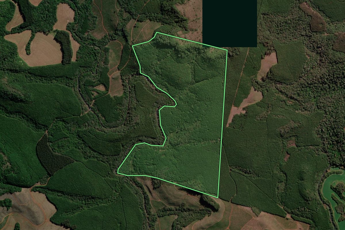Imagem de satélite do imóvel rural em Goioxim (PR), com o contorno declarado no CAR desenhado por cima.