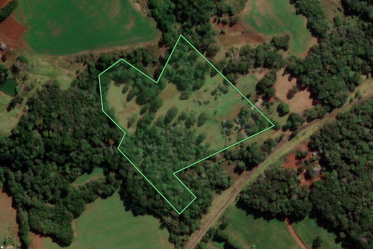 Imagem de satélite do imóvel rural em Goioxim (PR), com o contorno declarado no CAR desenhado por cima.