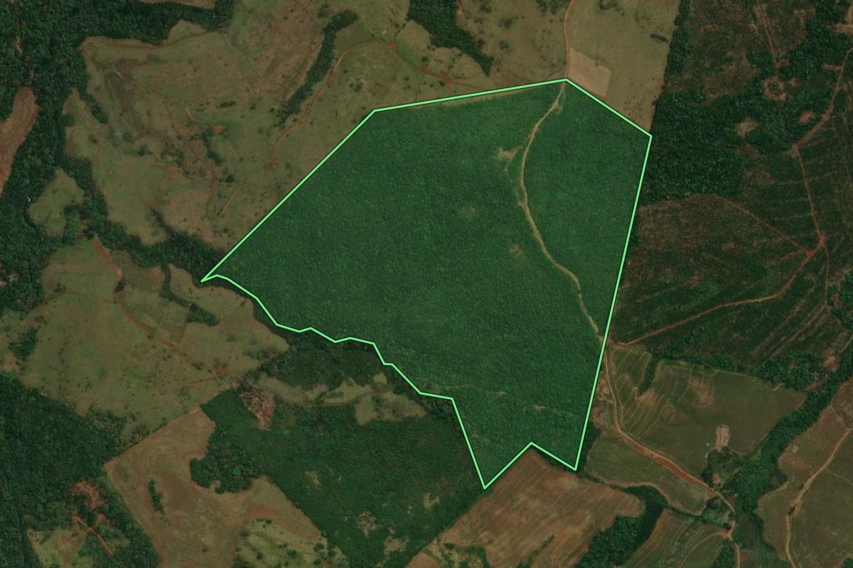 Imagem de satélite do imóvel rural em Goioxim (PR), com o contorno declarado no CAR desenhado por cima.