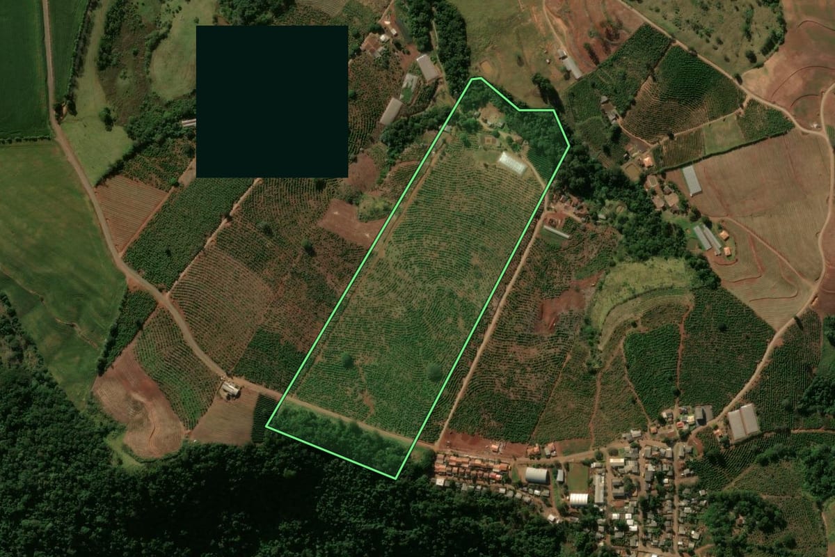Imagem de satélite do imóvel rural em Grandes Rios (PR), com o contorno declarado no CAR desenhado por cima.