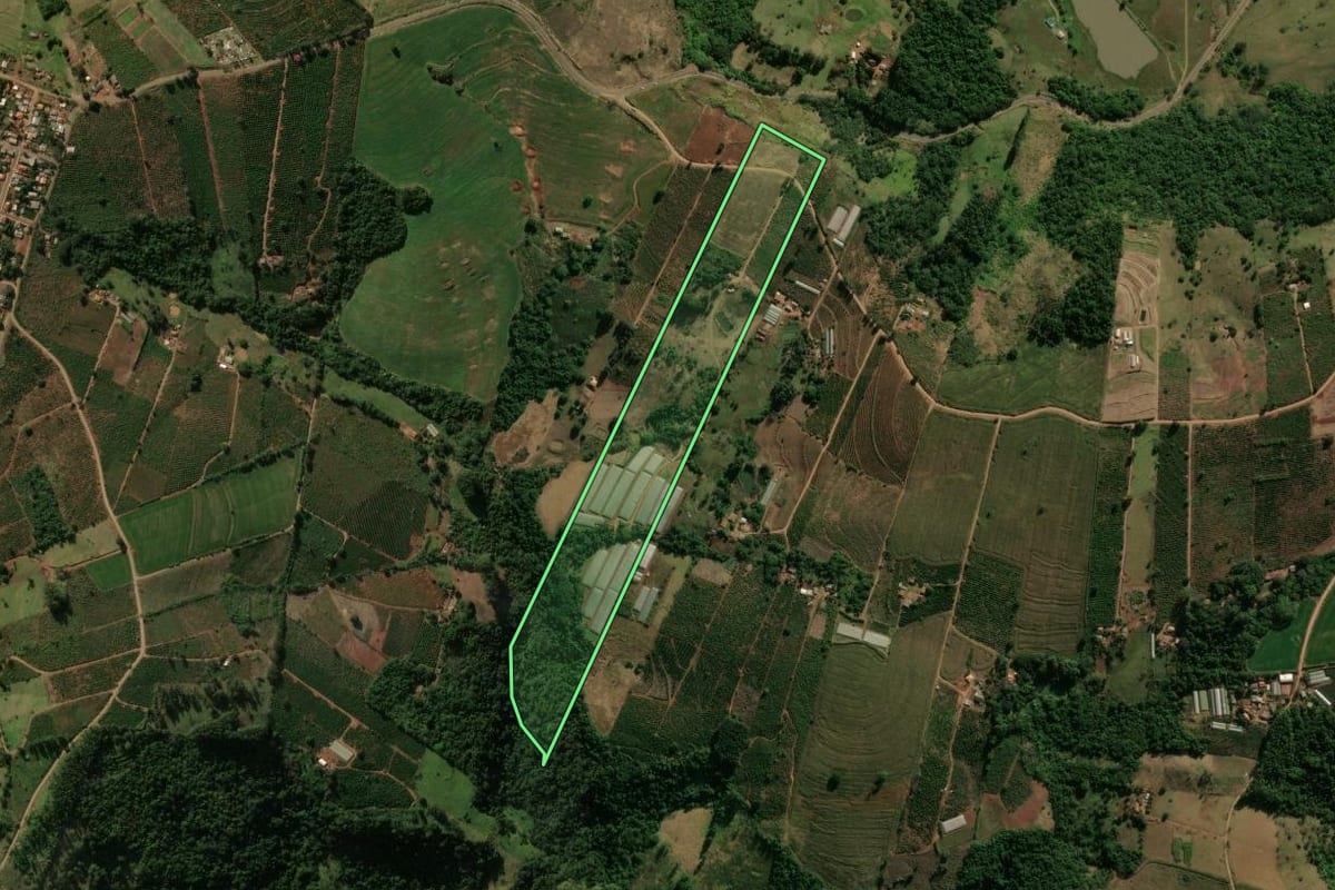 Imagem de satélite do imóvel rural em Grandes Rios (PR), com o contorno declarado no CAR desenhado por cima.