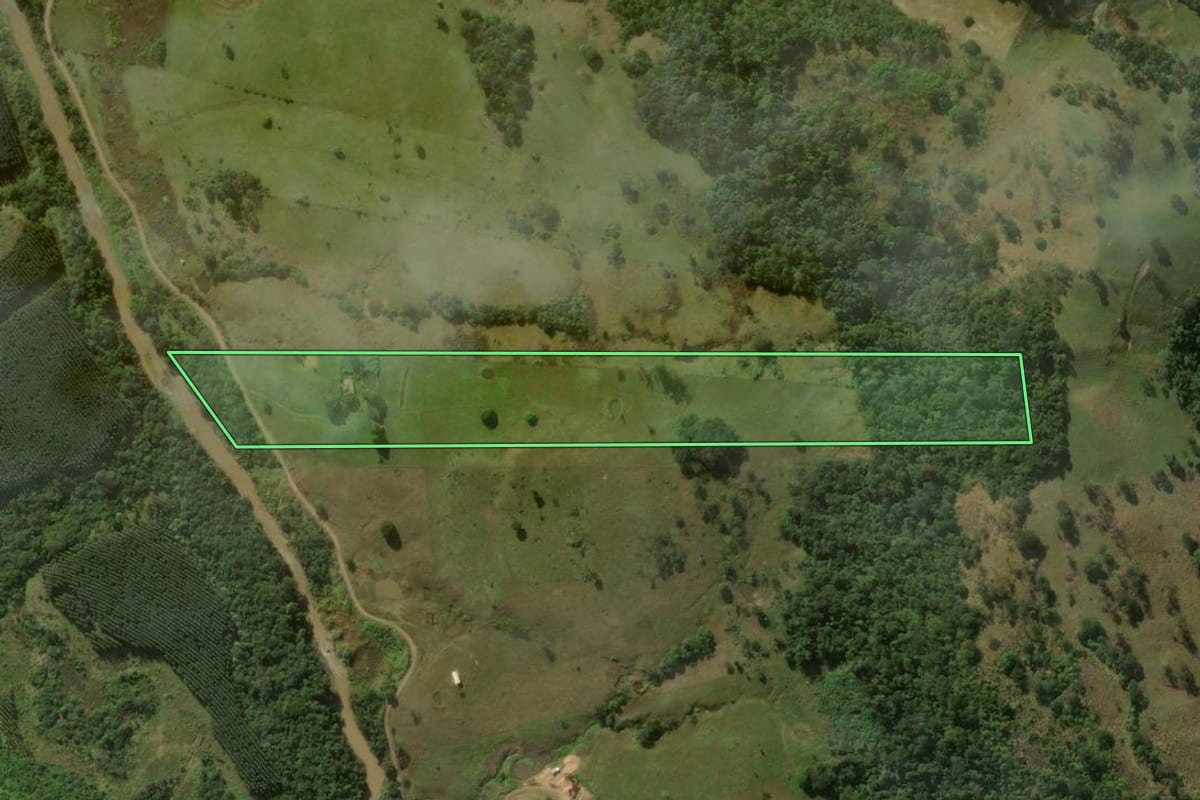 Imagem de satélite do imóvel rural em Grandes Rios (PR), com o contorno declarado no CAR desenhado por cima.