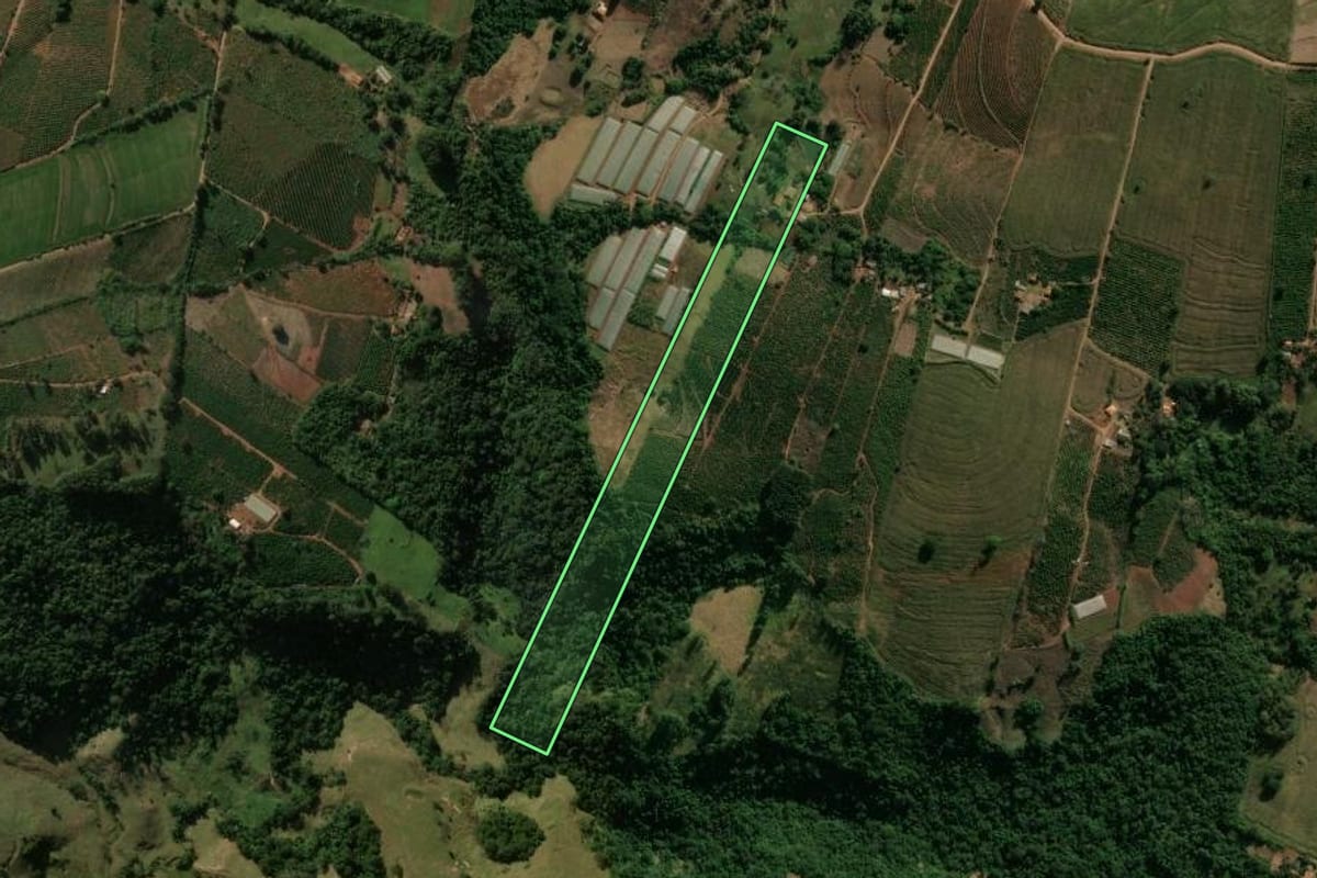 Imagem de satélite do imóvel rural em Grandes Rios (PR), com o contorno declarado no CAR desenhado por cima.