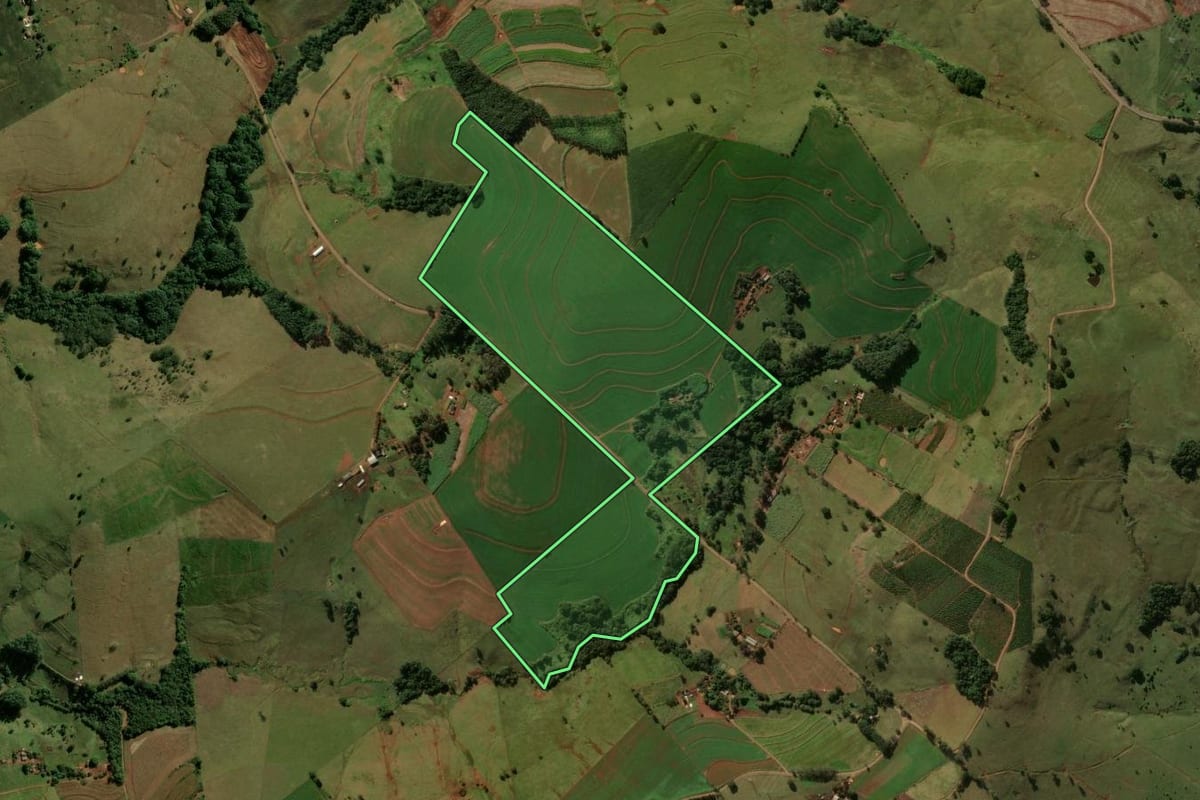 Imagem de satélite do imóvel rural em Grandes Rios (PR), com o contorno declarado no CAR desenhado por cima.