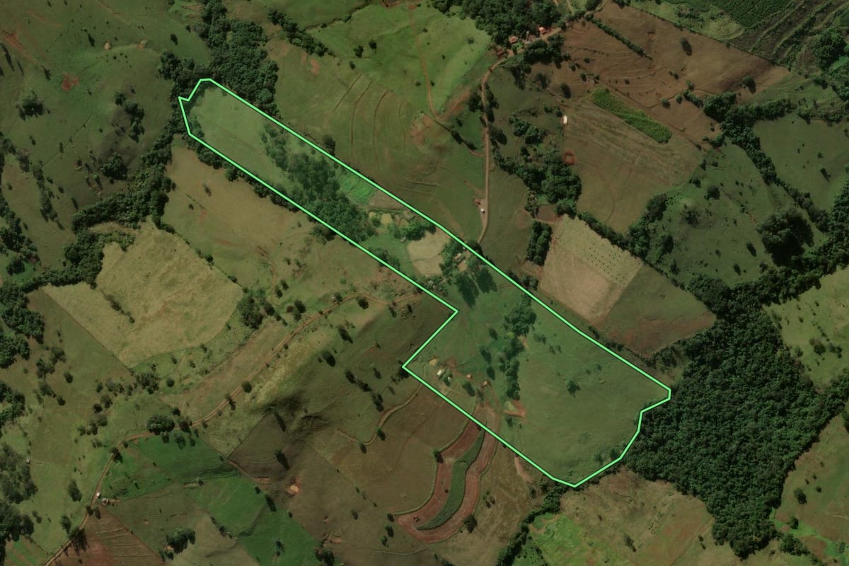 Imagem de satélite do imóvel rural em Grandes Rios (PR), com o contorno declarado no CAR desenhado por cima.