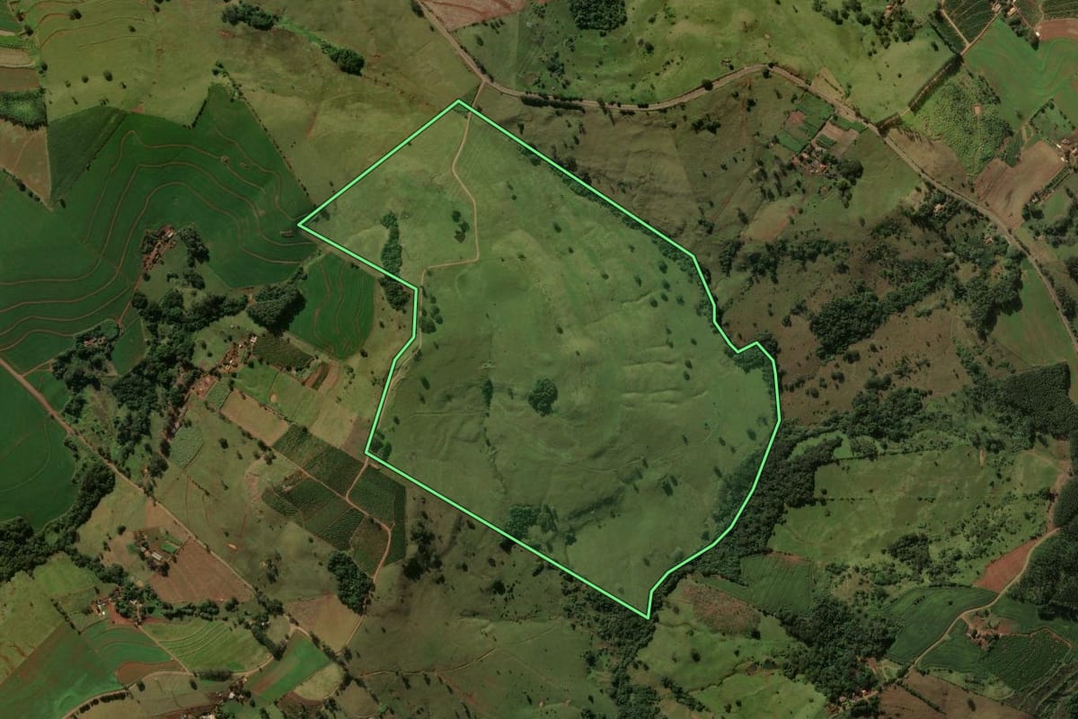 Imagem de satélite do imóvel rural em Grandes Rios (PR), com o contorno declarado no CAR desenhado por cima.