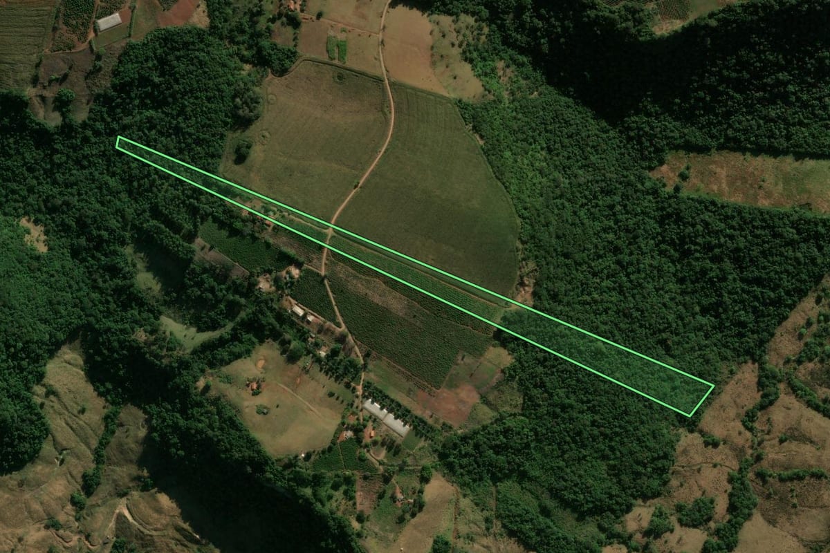 Imagem de satélite do imóvel rural em Grandes Rios (PR), com o contorno declarado no CAR desenhado por cima.