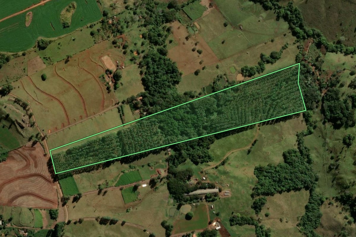 Imagem de satélite do imóvel rural em Grandes Rios (PR), com o contorno declarado no CAR desenhado por cima.