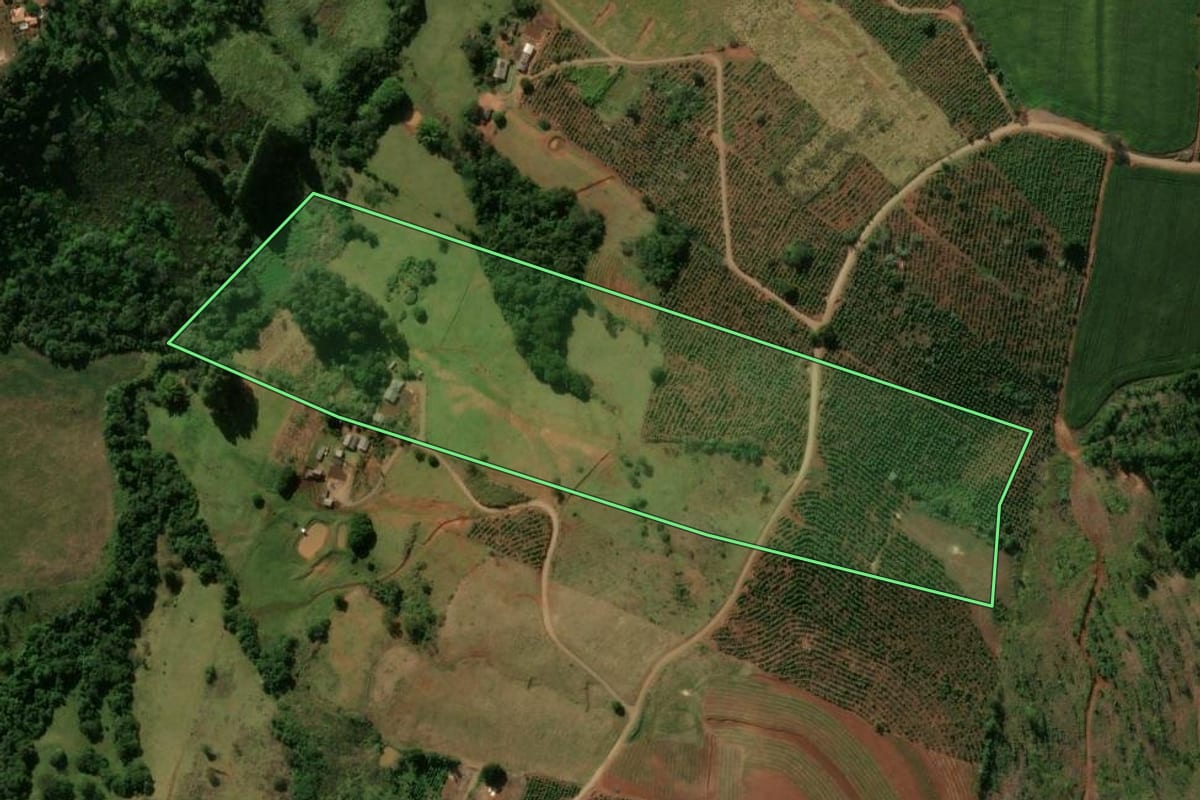 Imagem de satélite do imóvel rural em Grandes Rios (PR), com o contorno declarado no CAR desenhado por cima.