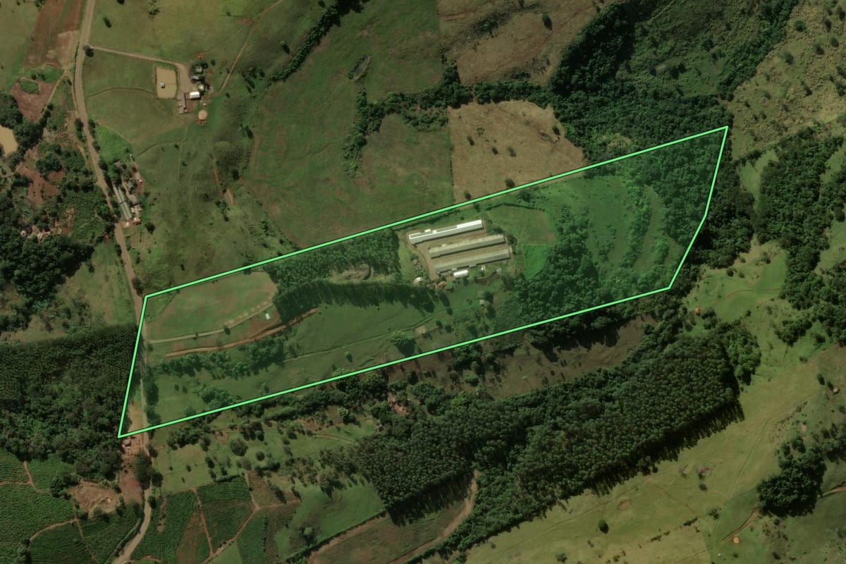 Imagem de satélite do imóvel rural em Grandes Rios (PR), com o contorno declarado no CAR desenhado por cima.