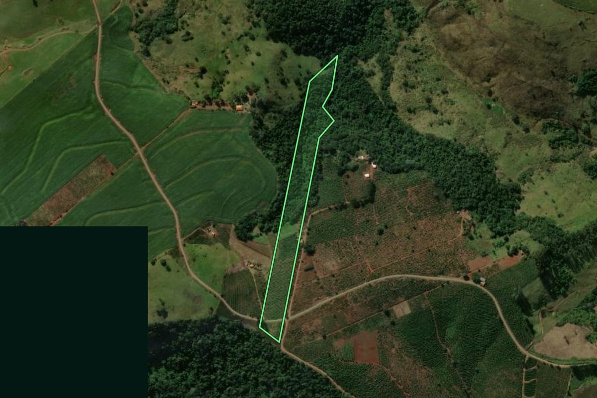 Imagem de satélite do imóvel rural em Grandes Rios (PR), com o contorno declarado no CAR desenhado por cima.
