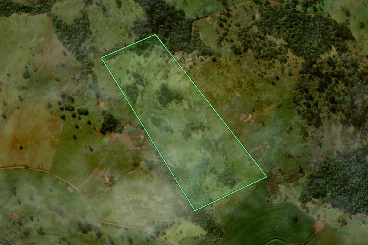 Imagem de satélite do imóvel rural em Grandes Rios (PR), com o contorno declarado no CAR desenhado por cima.