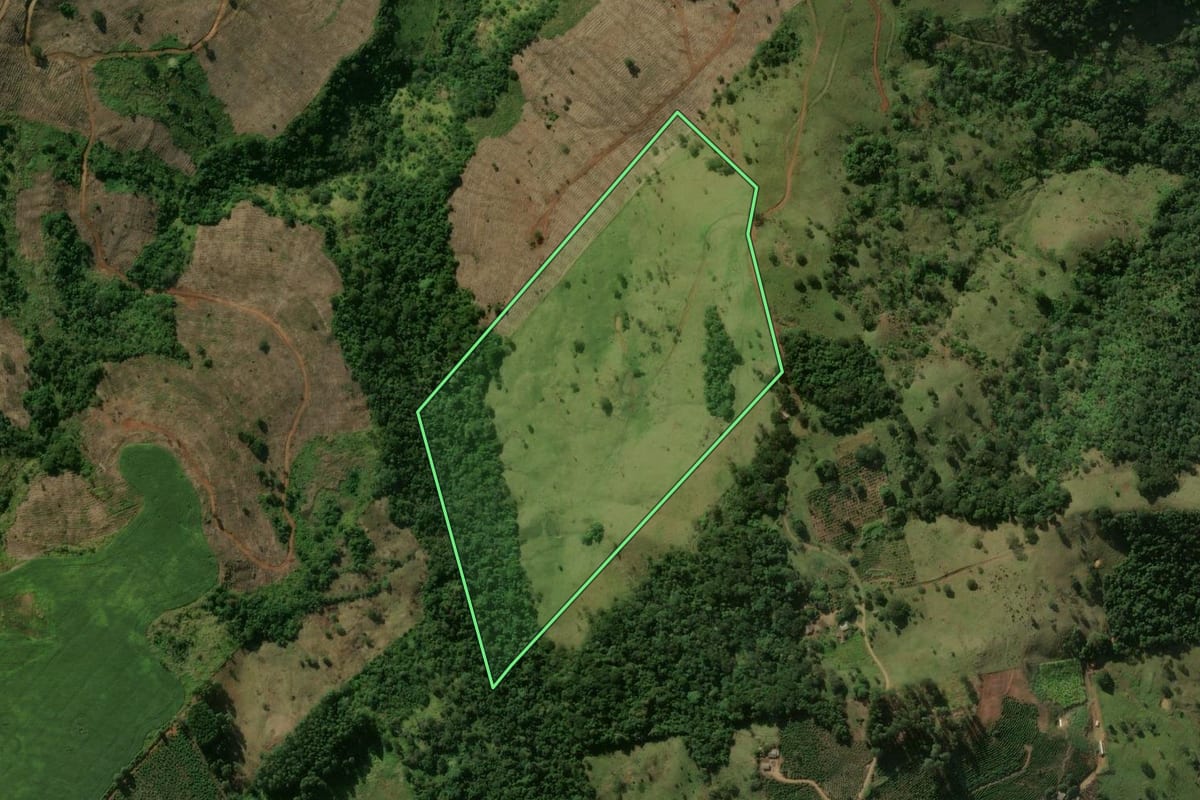 Imagem de satélite do imóvel rural em Grandes Rios (PR), com o contorno declarado no CAR desenhado por cima.