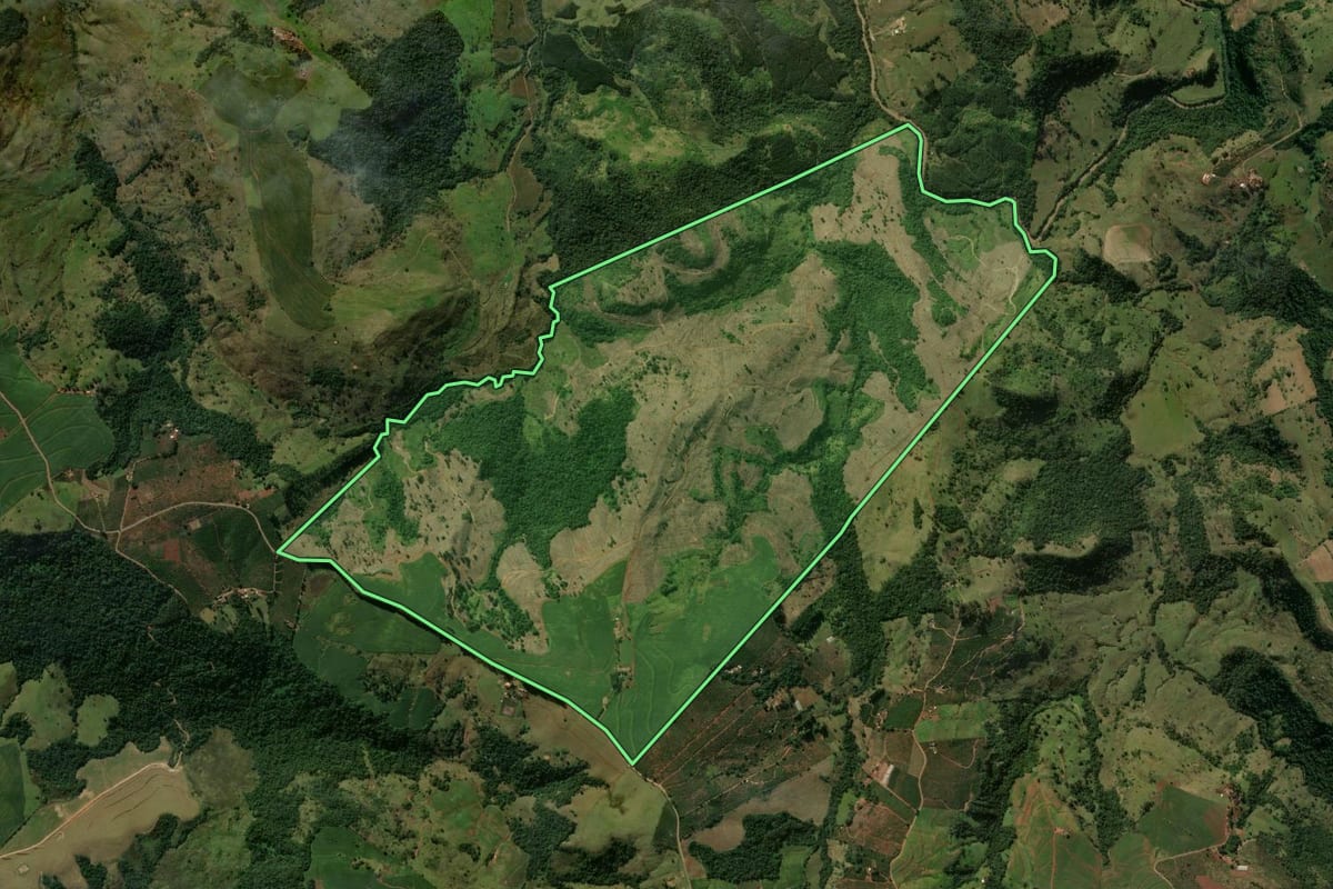 Imagem de satélite do imóvel rural em Grandes Rios (PR), com o contorno declarado no CAR desenhado por cima.