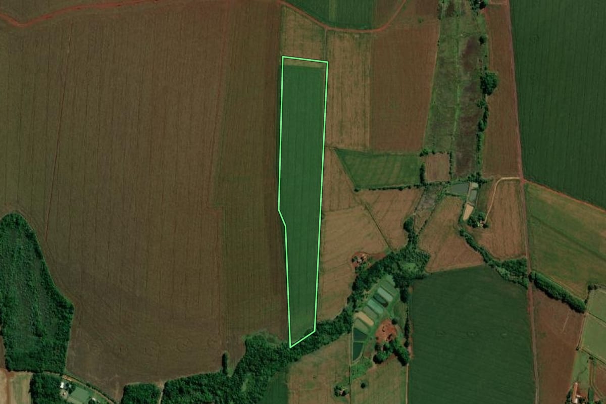 Imagem de satélite do imóvel rural em Guaíra (PR), com o contorno declarado no CAR desenhado por cima.
