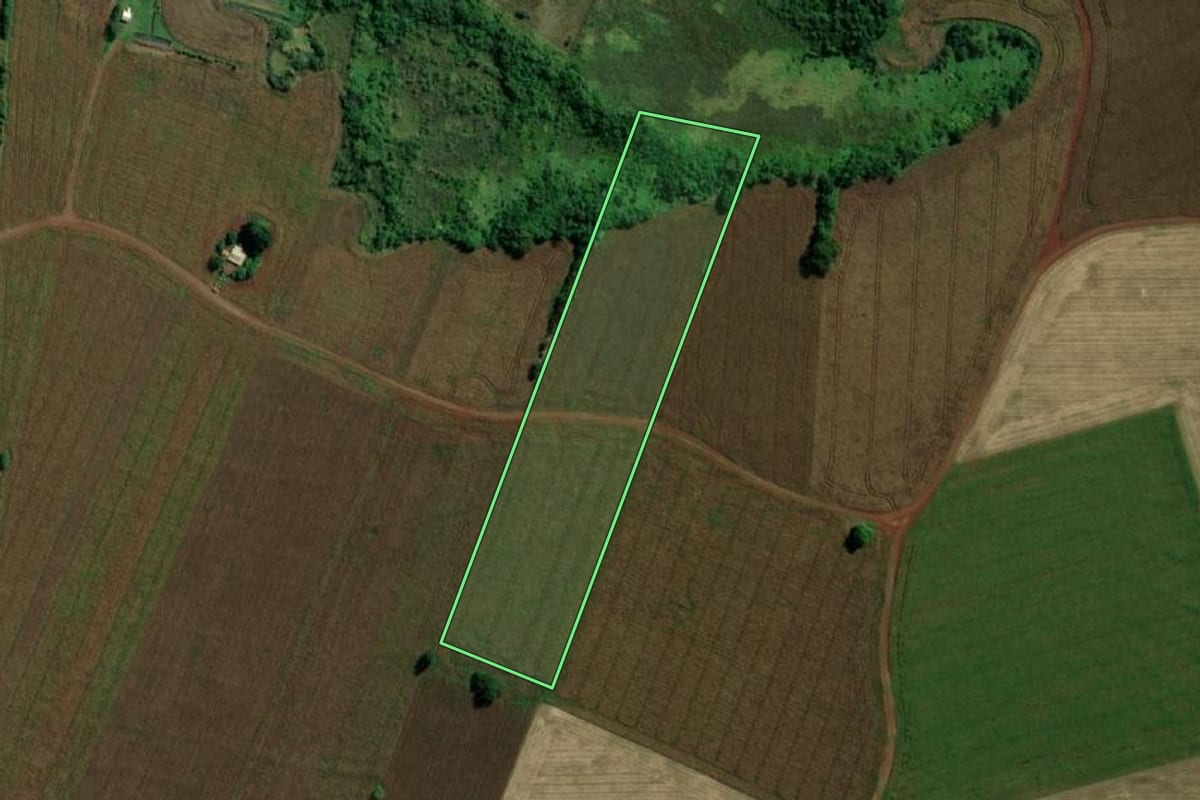 Imagem de satélite do imóvel rural em Guaíra (PR), com o contorno declarado no CAR desenhado por cima.