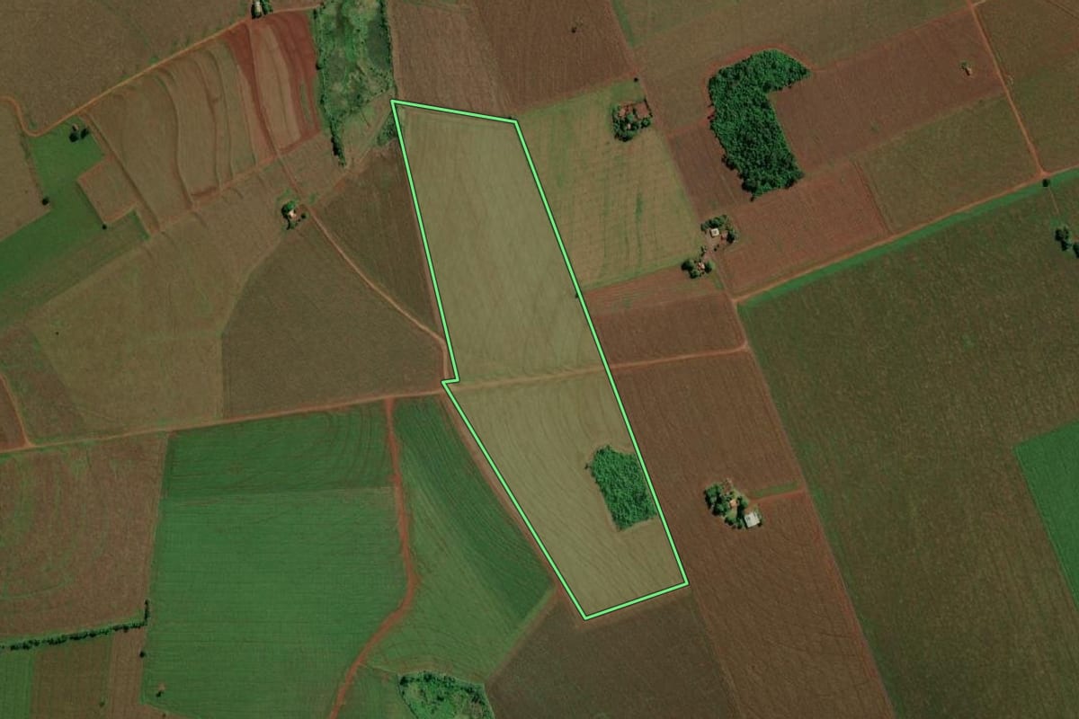 Imagem de satélite do imóvel rural em Guaíra (PR), com o contorno declarado no CAR desenhado por cima.