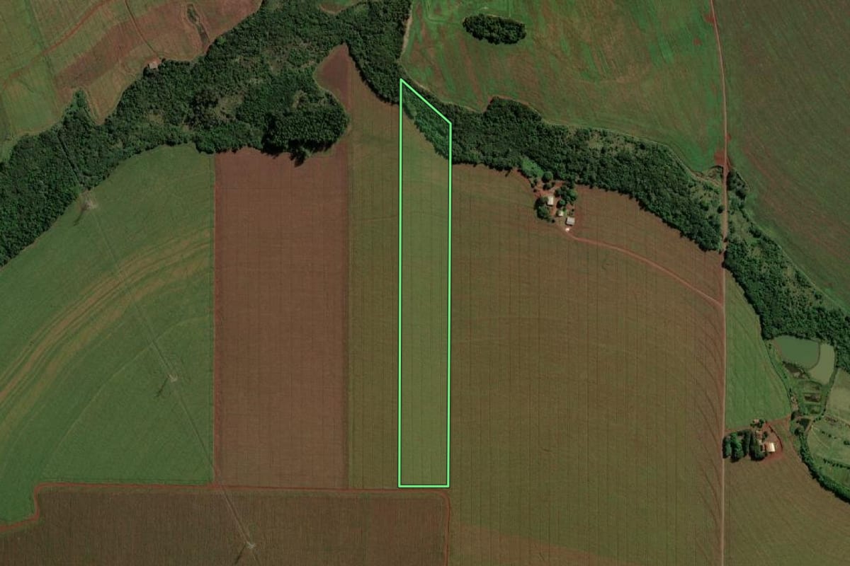 Imagem de satélite do imóvel rural em Guaíra (PR), com o contorno declarado no CAR desenhado por cima.