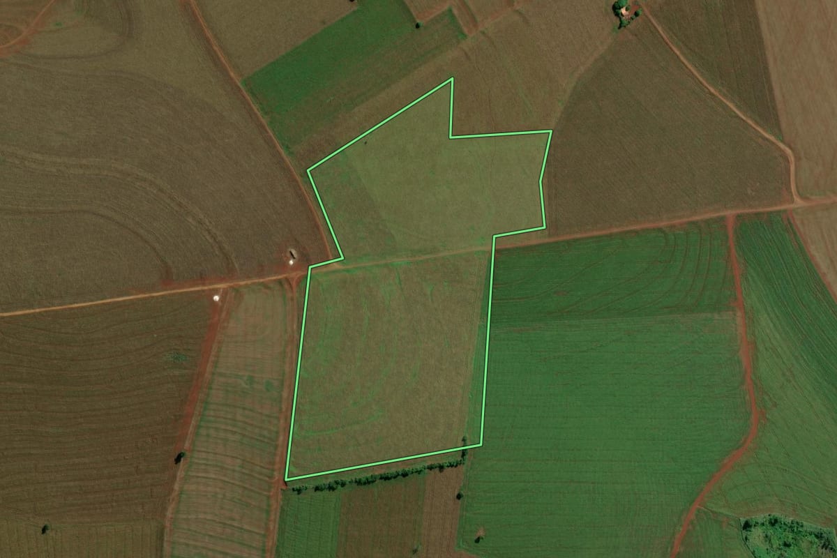 Imagem de satélite do imóvel rural em Guaíra (PR), com o contorno declarado no CAR desenhado por cima.