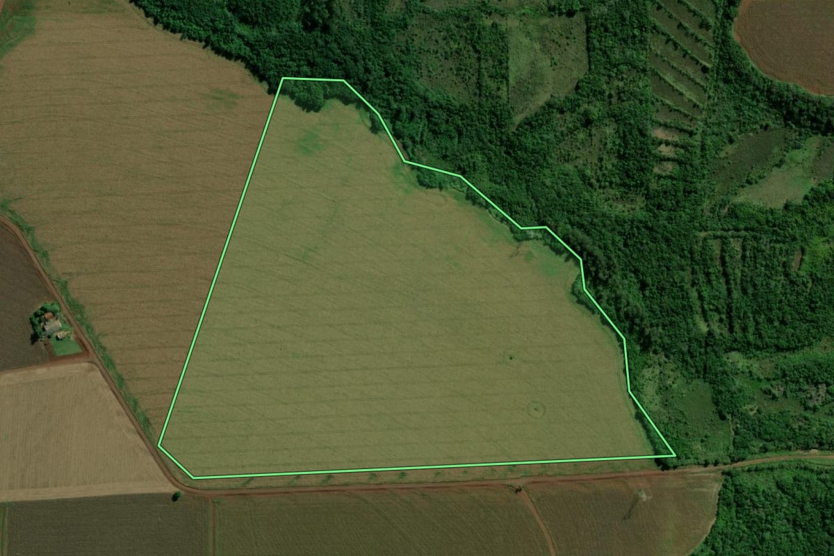 Imagem de satélite do imóvel rural em Guaíra (PR), com o contorno declarado no CAR desenhado por cima.