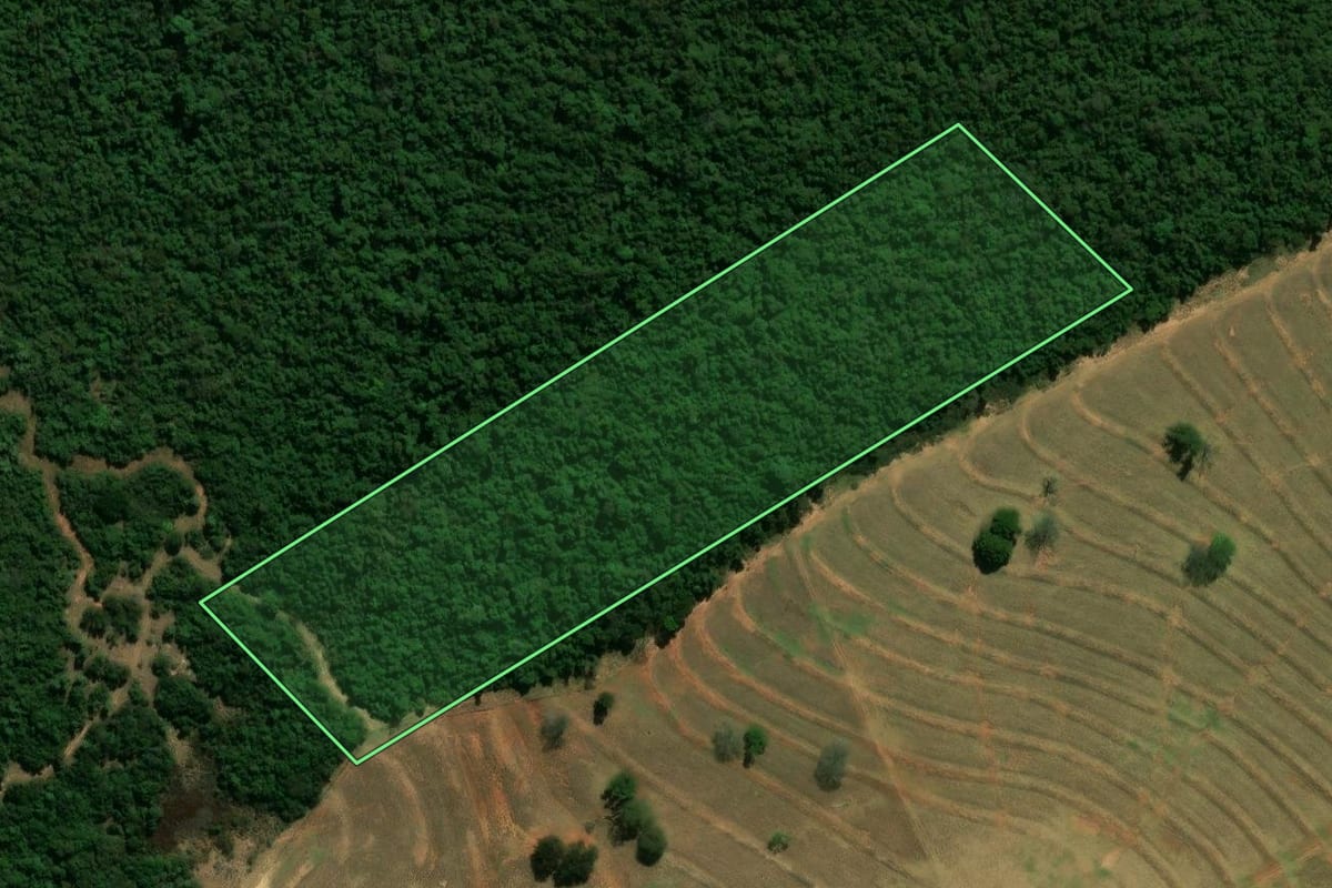Imagem de satélite do imóvel rural em Guairaçá (PR), com o contorno declarado no CAR desenhado por cima.