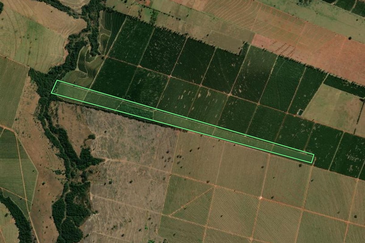 Imagem de satélite do imóvel rural em Guairaçá (PR), com o contorno declarado no CAR desenhado por cima.