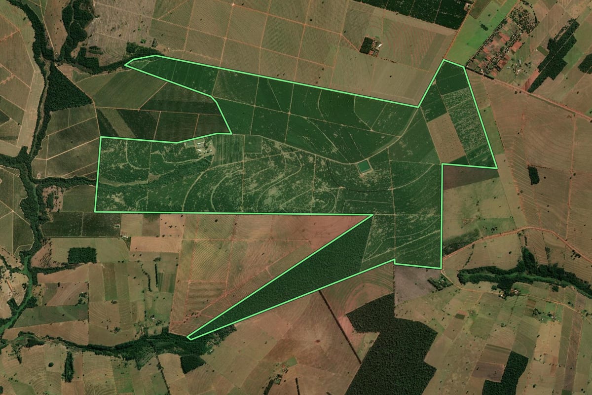 Imagem de satélite do imóvel rural em Paranavaí (PR), com o contorno declarado no CAR desenhado por cima.