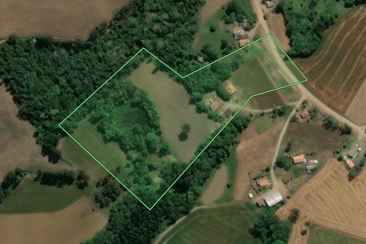 Imagem de satélite do imóvel rural em Guamiranga (PR), com o contorno declarado no CAR desenhado por cima.