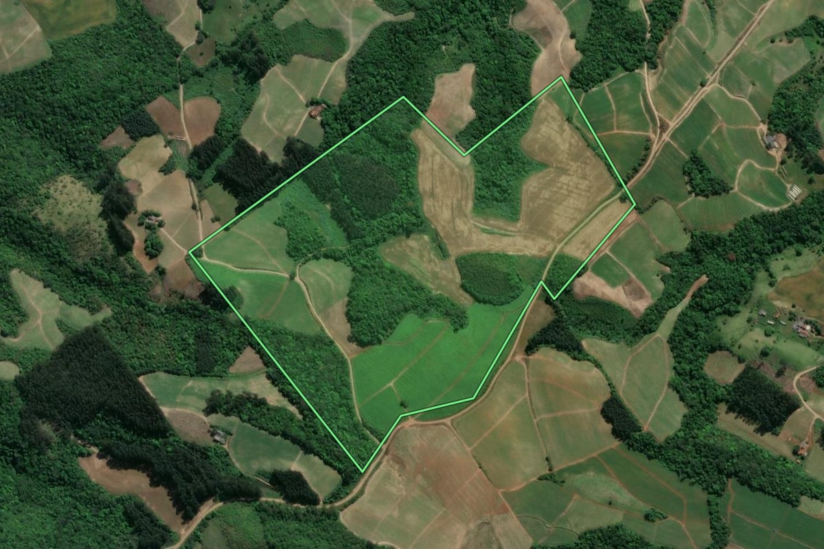Imagem de satélite do imóvel rural em Guamiranga (PR), com o contorno declarado no CAR desenhado por cima.