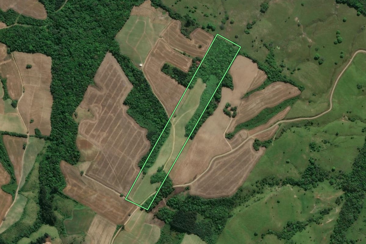 Imagem de satélite do imóvel rural em Guamiranga (PR), com o contorno declarado no CAR desenhado por cima.