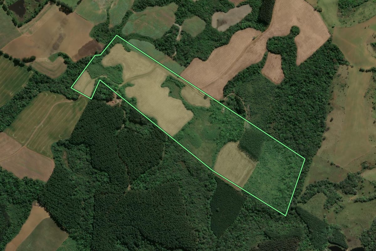 Imagem de satélite do imóvel rural em Guamiranga (PR), com o contorno declarado no CAR desenhado por cima.