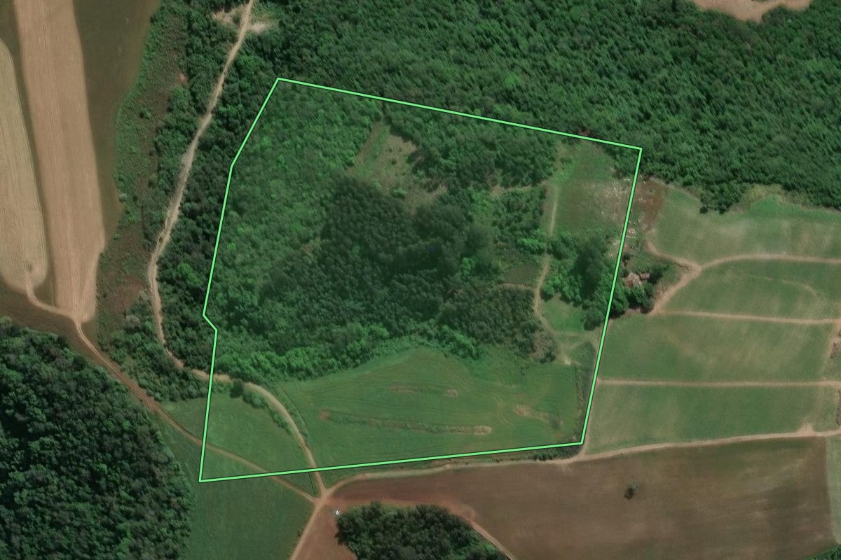 Imagem de satélite do imóvel rural em Guamiranga (PR), com o contorno declarado no CAR desenhado por cima.