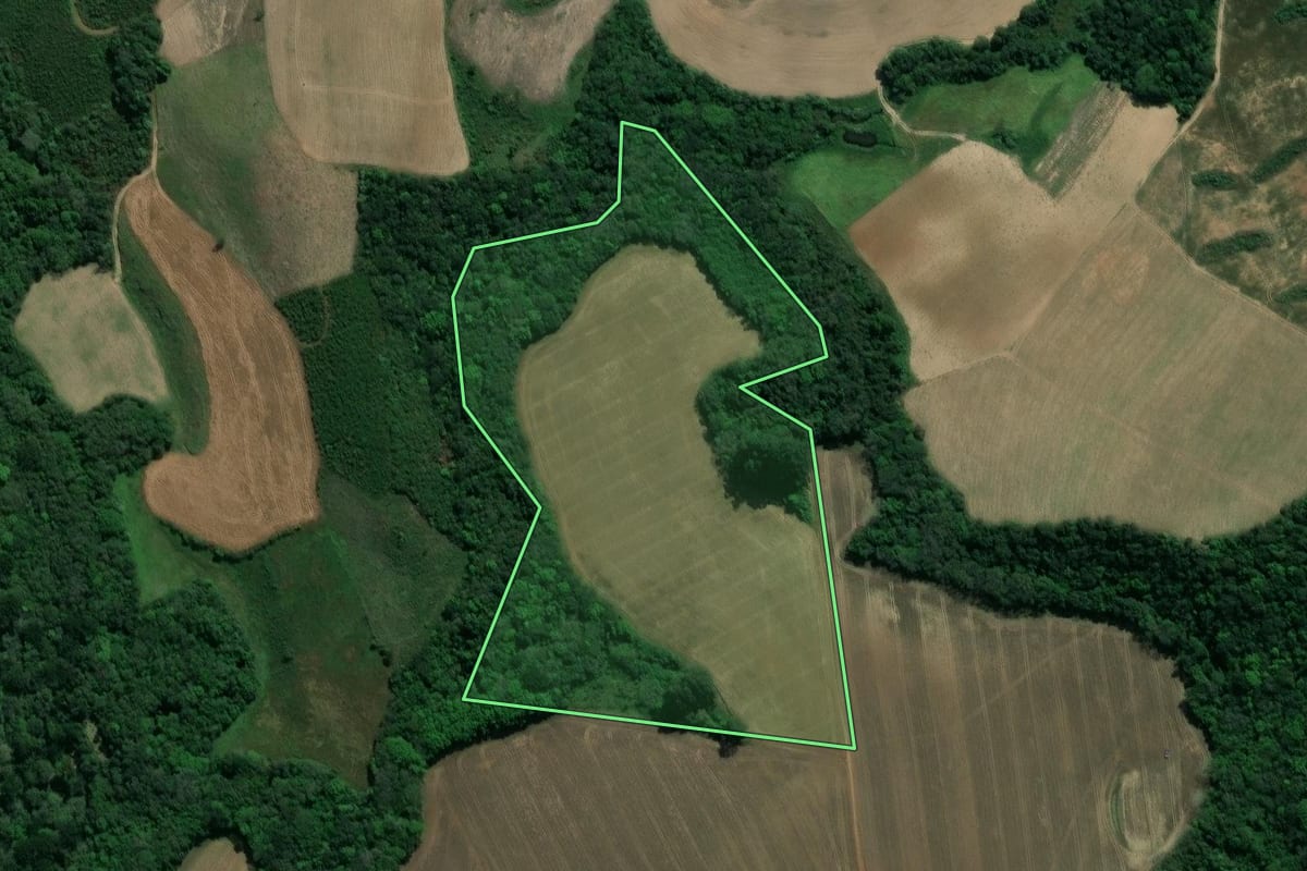 Imagem de satélite do imóvel rural em Guamiranga (PR), com o contorno declarado no CAR desenhado por cima.