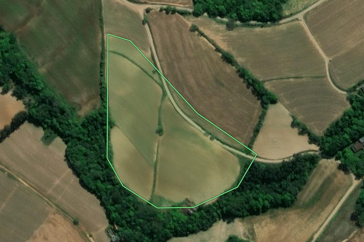 Imagem de satélite do imóvel rural em Guamiranga (PR), com o contorno declarado no CAR desenhado por cima.
