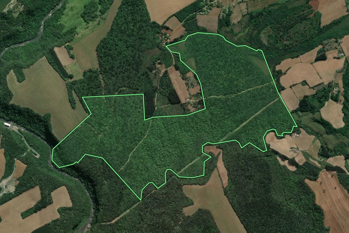 Imagem de satélite do imóvel rural em Guamiranga (PR), com o contorno declarado no CAR desenhado por cima.