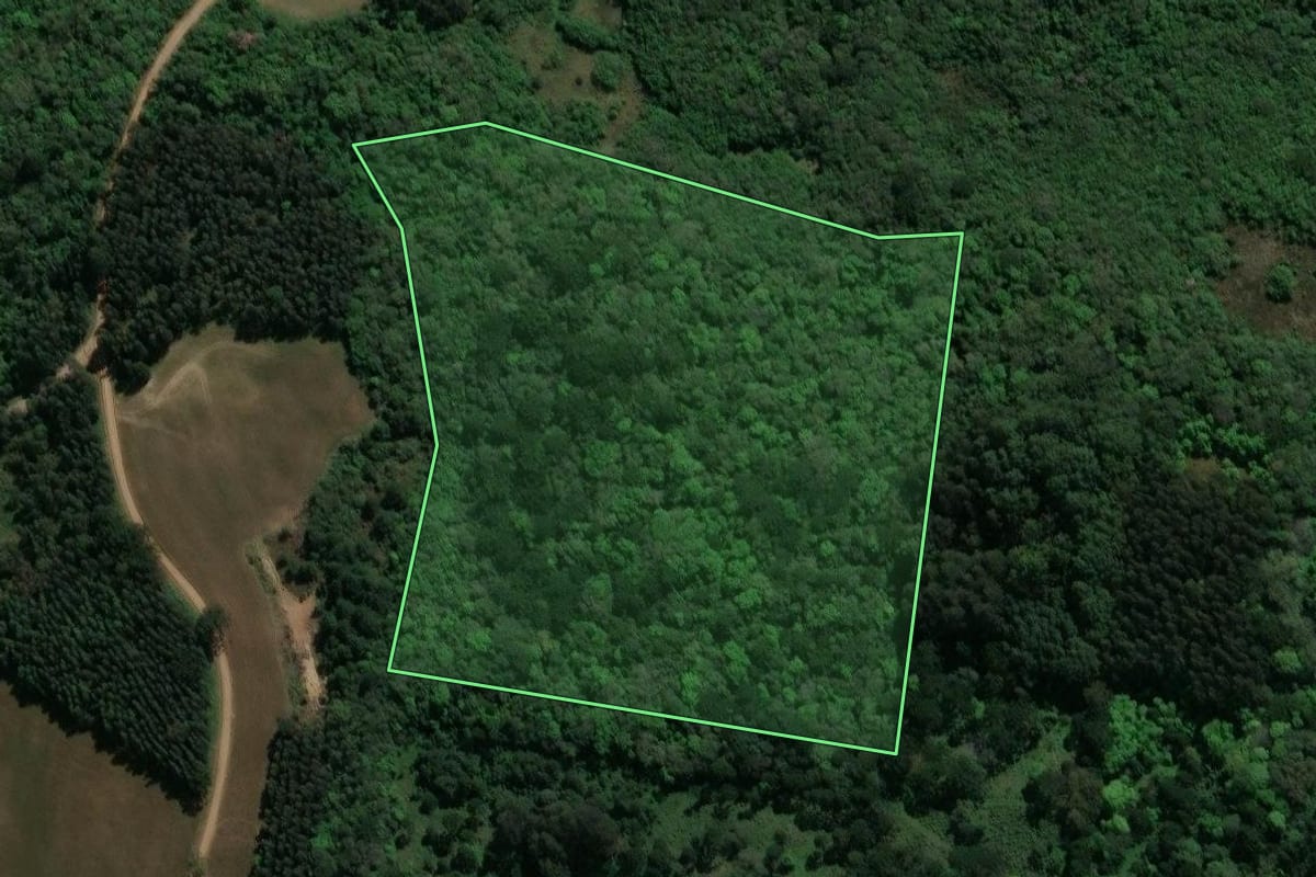 Imagem de satélite do imóvel rural em Guamiranga (PR), com o contorno declarado no CAR desenhado por cima.
