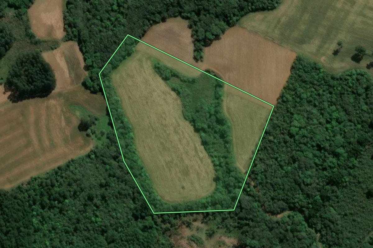 Imagem de satélite do imóvel rural em Guamiranga (PR), com o contorno declarado no CAR desenhado por cima.