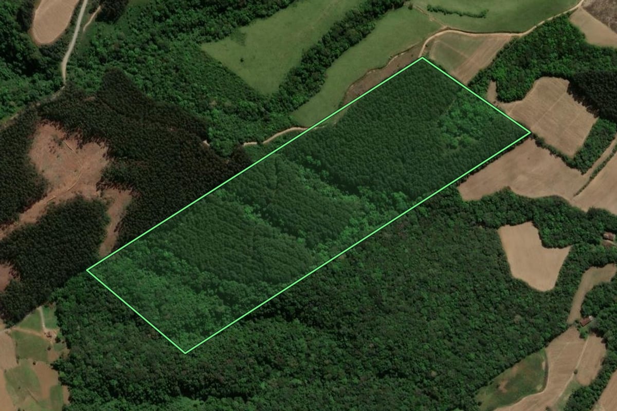 Imagem de satélite do imóvel rural em Guamiranga (PR), com o contorno declarado no CAR desenhado por cima.