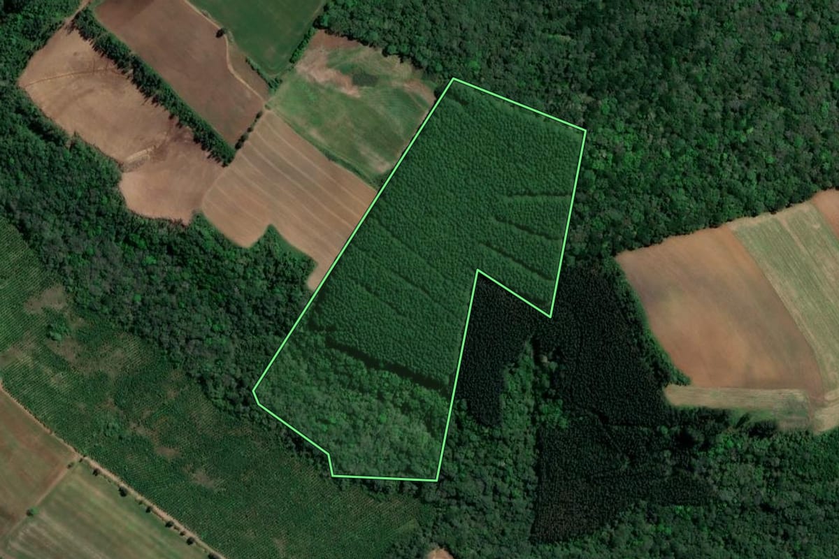 Imagem de satélite do imóvel rural em Guamiranga (PR), com o contorno declarado no CAR desenhado por cima.