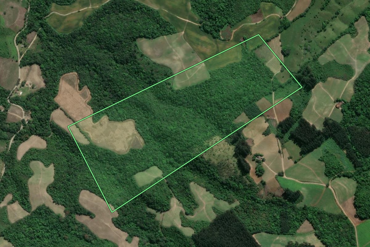 Imagem de satélite do imóvel rural em Guamiranga (PR), com o contorno declarado no CAR desenhado por cima.