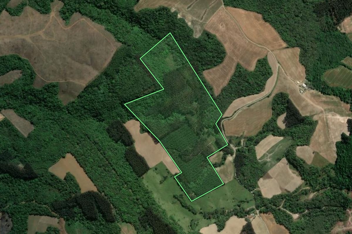 Imagem de satélite do imóvel rural em Guamiranga (PR), com o contorno declarado no CAR desenhado por cima.